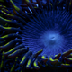 Illustration for article titled 15 Incredible Long Exposures Made Even Longer